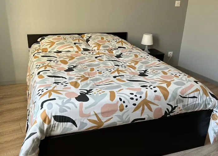 Charmant Appartement En Rez-De Chaussee